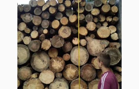 Купить машину дров