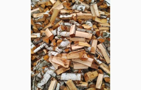 Колоті дрова берези