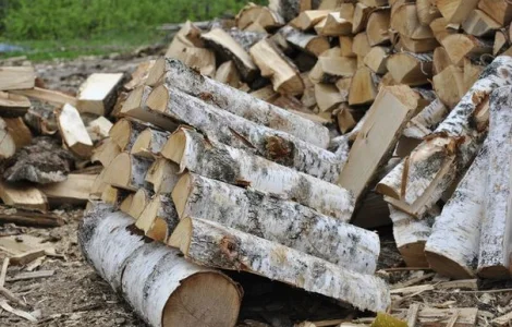 Колоті дрова берези та ольхи в Києві та області