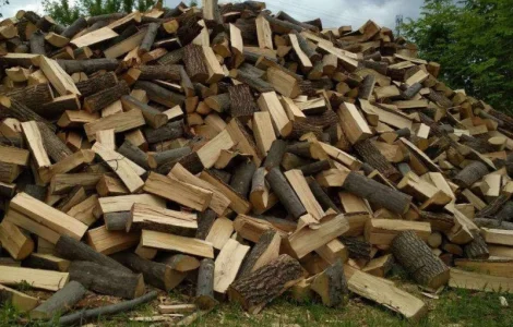 Продаются дрова в Горохове