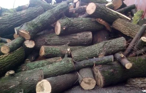 Дрова твердих порід рубані метровий кругляк купити Рожище