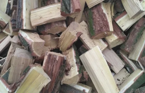 Купуйте дрова рубані Горохів | Доставка по Горохівському районі