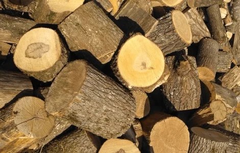Купуйте дрова кругляк метровий | Чурки різані по 35-40см Луцьк