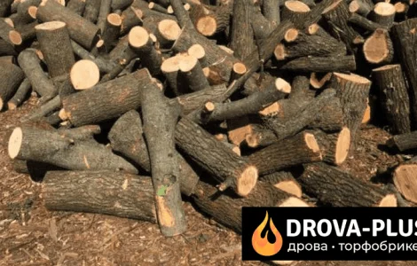Drova-plus продаж дрова