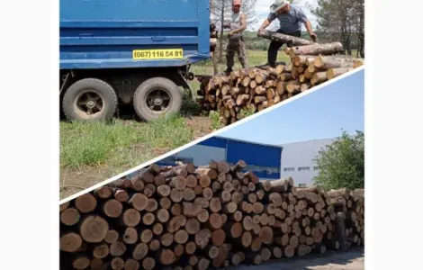 Дрова сухі колоті