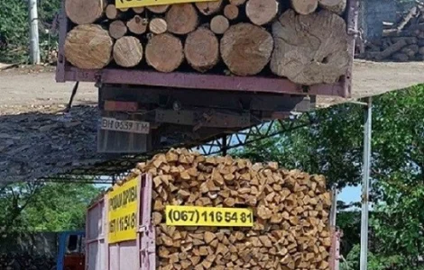 Продам дубовые и березовые дрова Одесса