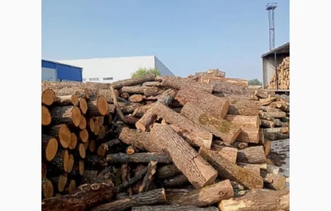 Купить брикеты топливные (евродрова) в Одессе