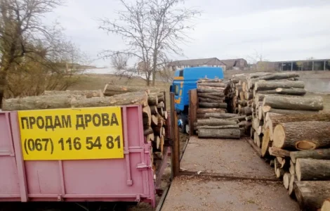 Доставка дров от двух складометров до сорока Одесса