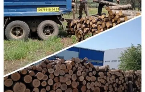 Продам дрова дуб