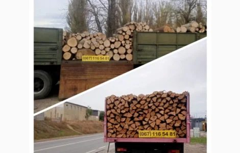 Продажа дров в Одессе и Одесской области