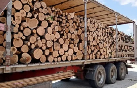 Колотые дрова с доставкой по Одессе и области