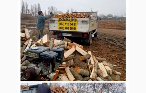 Продам дрова дуба Одесса и область