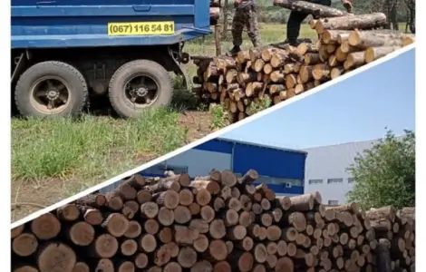 Продам дрова твердих порід