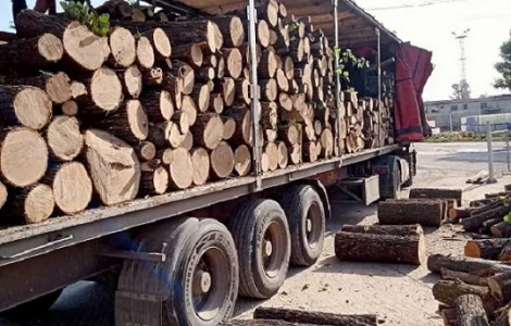 Продажа дров и угля с доставкой