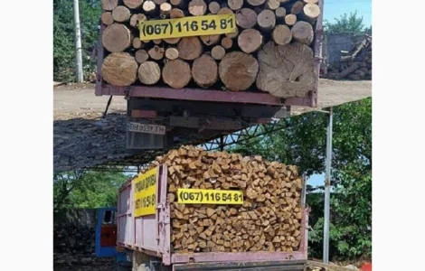 Качественные дрова с быстрой доставкой Одесса