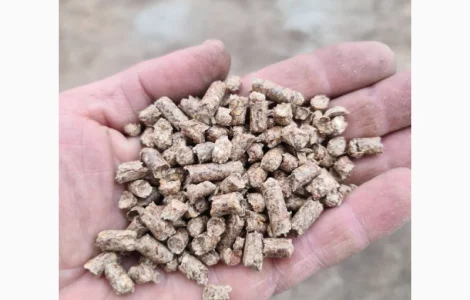 Пелети соснові від виробника