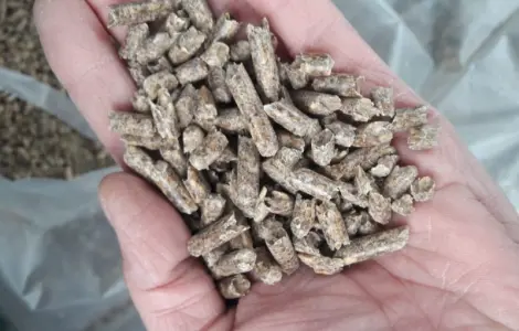 Продамм топливные пеллеты от производителя с 100 тонн