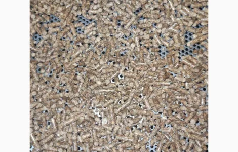 Продаж пеллет паливних із деревини хвойних порід