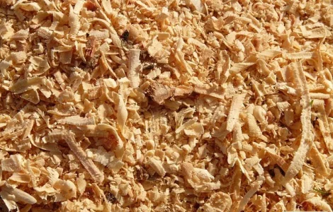 Куплю опилки сосны оптом для производства