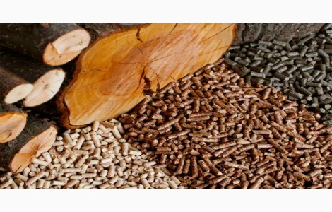 Пелети з лушпиння та деревяні пеллети