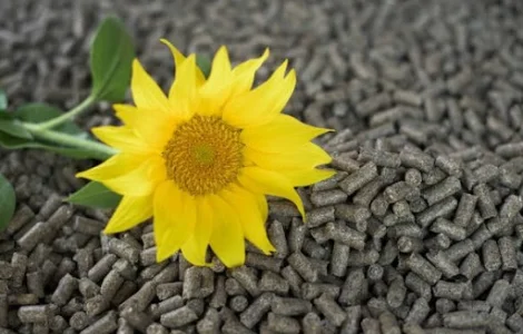 Пеллеты, брикеты продажа оптом