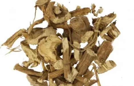 Куплю корень алтея оптом