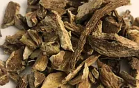 Куплю корінь девясилу