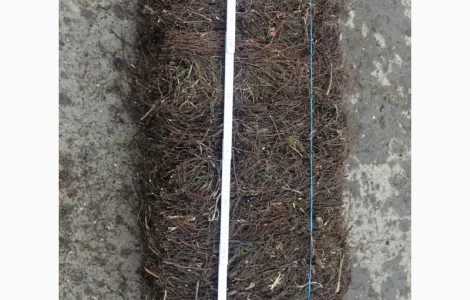 Купую гілки вереса оптом