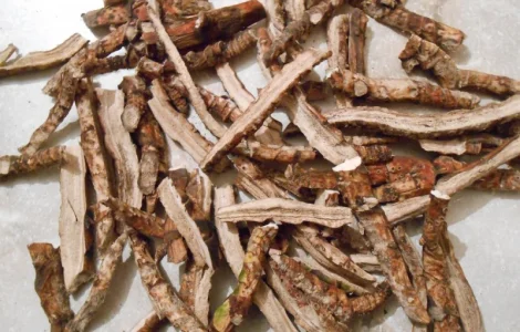 Закупаем корни одуванчика, лопуха, Аира и калгана в сухом виде