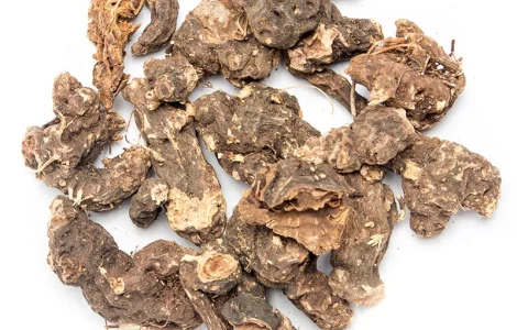 Купим от населения корень калгана, алтея, кульбабы, лопух, живокость