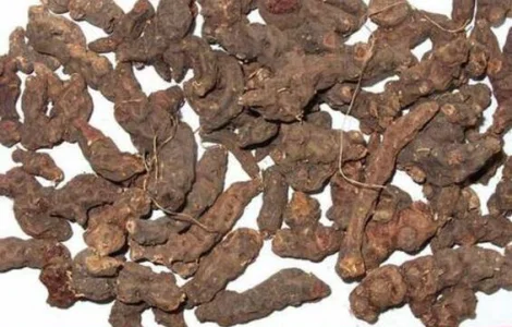 Закупаем корень калгана сухой.Оплата наличными