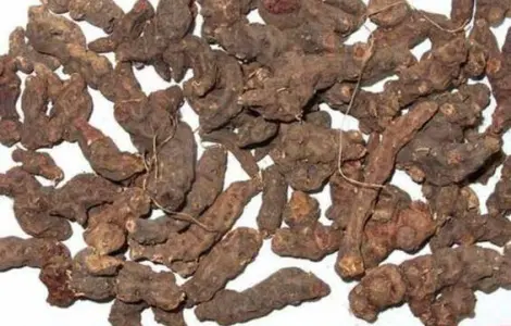 Закупаем корень калгана сухой.Оплата наличными