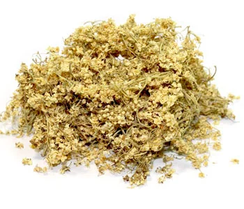 Купуємо сухі квіти бузини та липи - готівковий розрахунок у Дніпрі