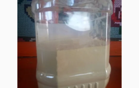 Лікоподій - пилок лікоподія плауна повзучого