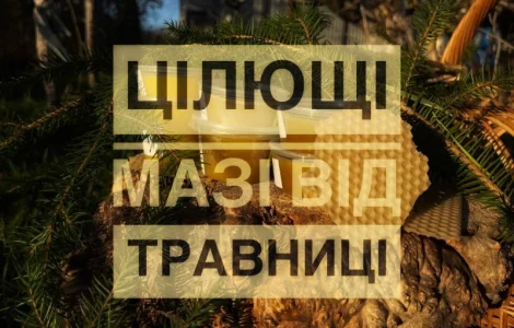 Цілющі мазі від травниці