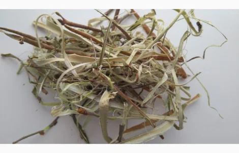 Пропонується кора шовковиці, 0,5 кг за 300 грн