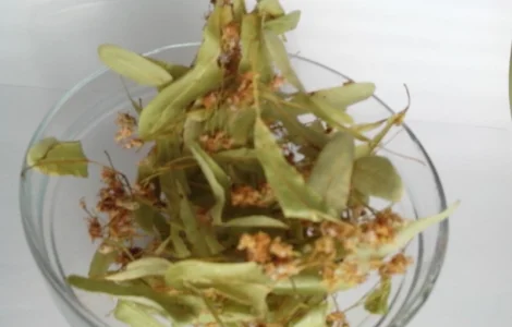 Пропонується лікувальний цвіт липи, упаковка 100 грам