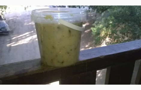 Живица сосны – натуральное лекарственное средство