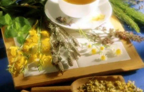 Продаются лекарственные травы оптом