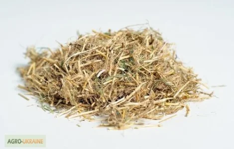 Продаются корни пырея в упаковке 100 грамм