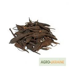 Продается корень гадючника - лекарственное растение