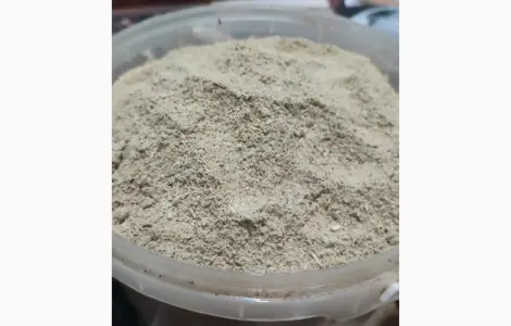 Продам кору Осики
