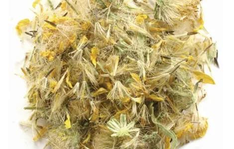 Арніка гірської квітки – оптовая продажа