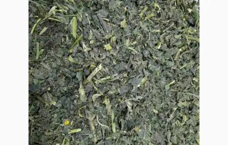 Продам кропиву морожену мішок 12 кг