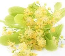 Пропонується цвіт липи високої якості