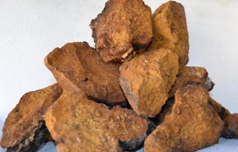 Пропонується гриб Чага – натуральний засіб для здоров'я