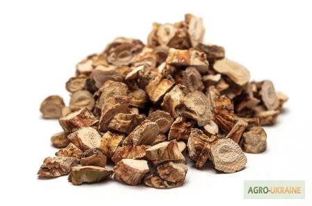 Пропонується корінь аїру болотного