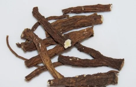 Корень одуванчика с полезными свойствами