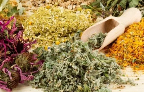 Очищаючий та омолоджуючий збір трав