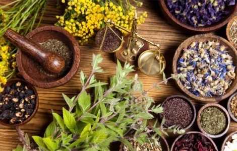 Брусниця; чорниця; горобина; м'ята; меліса